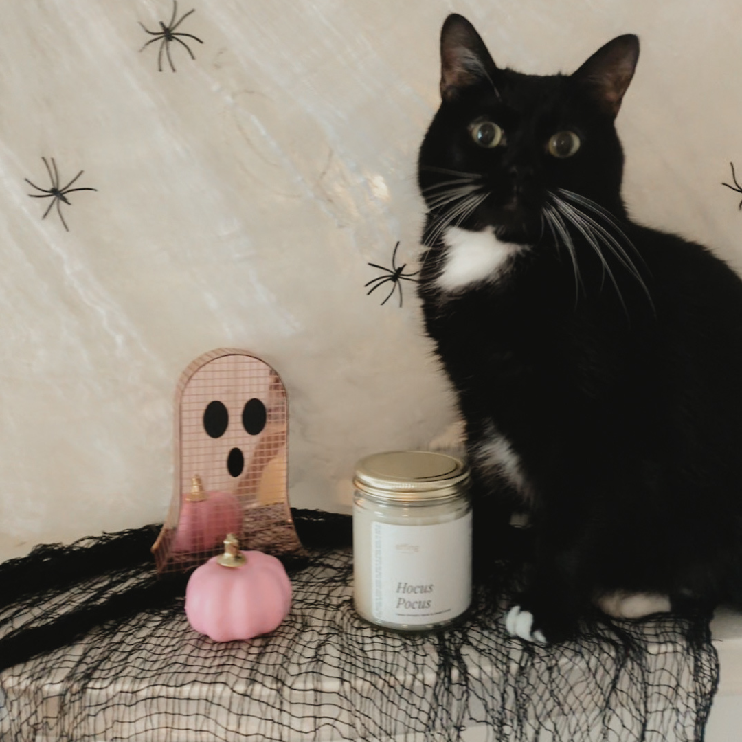A black and white cat sits on a black netted surface next to a small pink pumpkin, a white candle jar with a gold lid, and a pink ghost-shaped decor piece against a beige wall with spider decals.