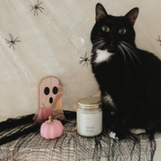 A black and white cat sits on a black netted surface next to a small pink pumpkin, a white candle jar with a gold lid, and a pink ghost-shaped decor piece against a beige wall with spider decals.
