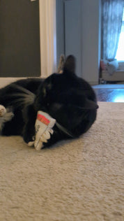 Effing Candle Co. Catnip Toy - Matchbox Style