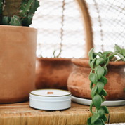 Rooftop Margaritas Wooden Wick Travel Candle with notes of Blood Orange, Lime & Agave. Start a party in your living room. Best candles in KC.